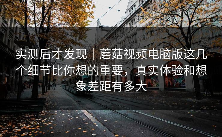 实测后才发现｜蘑菇视频电脑版这几个细节比你想的重要，真实体验和想象差距有多大