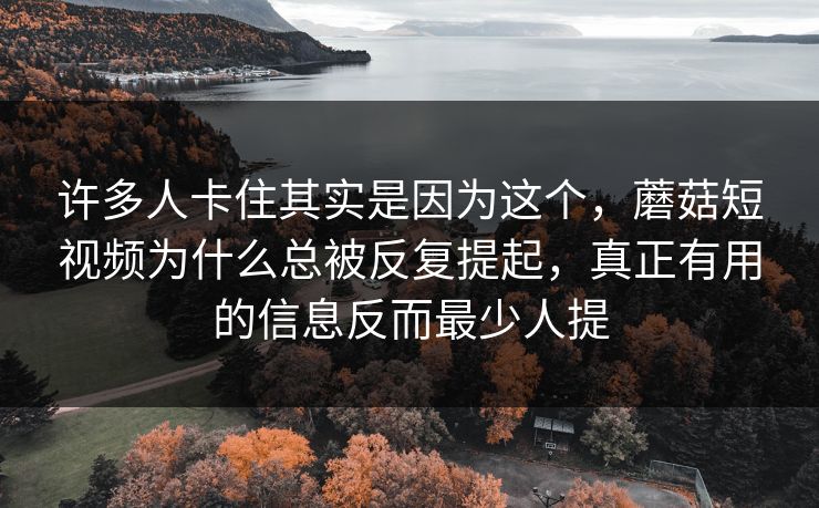 许多人卡住其实是因为这个，蘑菇短视频为什么总被反复提起，真正有用的信息反而最少人提