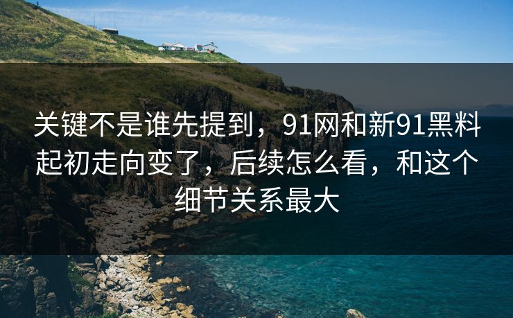 关键不是谁先提到，91网和新91黑料起初走向变了，后续怎么看，和这个细节关系最大