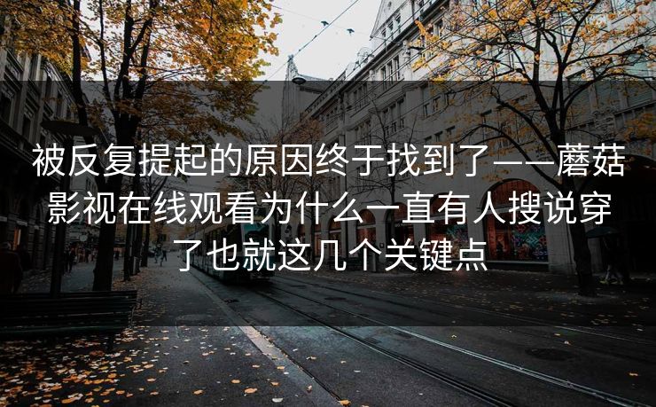 被反复提起的原因终于找到了——蘑菇影视在线观看为什么一直有人搜说穿了也就这几个关键点