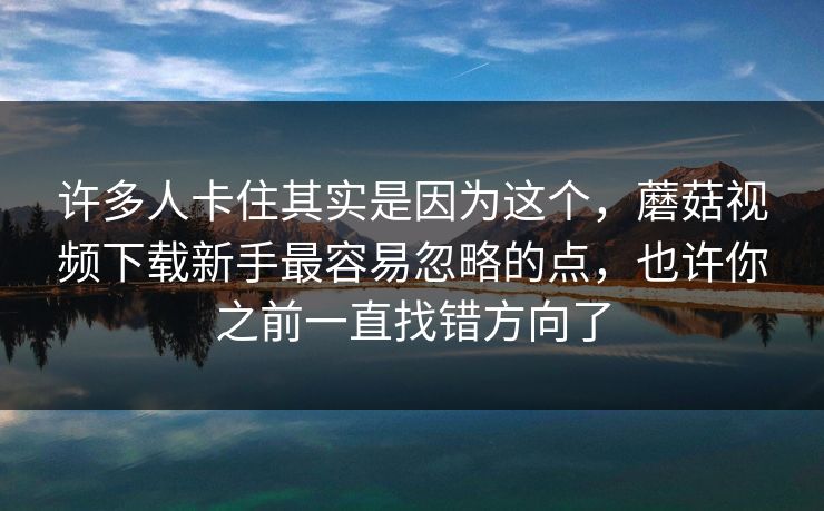 许多人卡住其实是因为这个，蘑菇视频下载新手最容易忽略的点，也许你之前一直找错方向了
