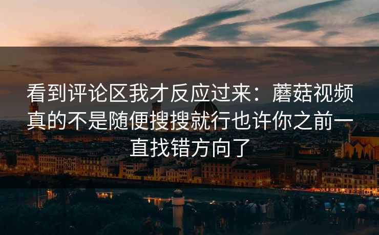 看到评论区我才反应过来：蘑菇视频真的不是随便搜搜就行也许你之前一直找错方向了
