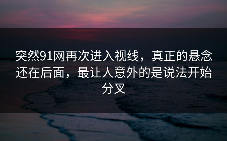 突然91网再次进入视线，真正的悬念还在后面，最让人意外的是说法开始分叉