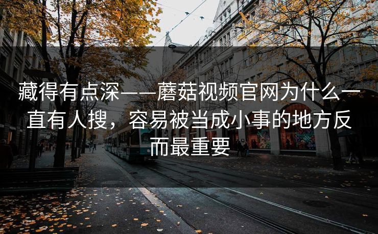 藏得有点深——蘑菇视频官网为什么一直有人搜，容易被当成小事的地方反而最重要