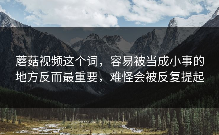 蘑菇视频这个词，容易被当成小事的地方反而最重要，难怪会被反复提起