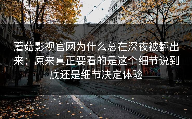 蘑菇影视官网为什么总在深夜被翻出来：原来真正要看的是这个细节说到底还是细节决定体验