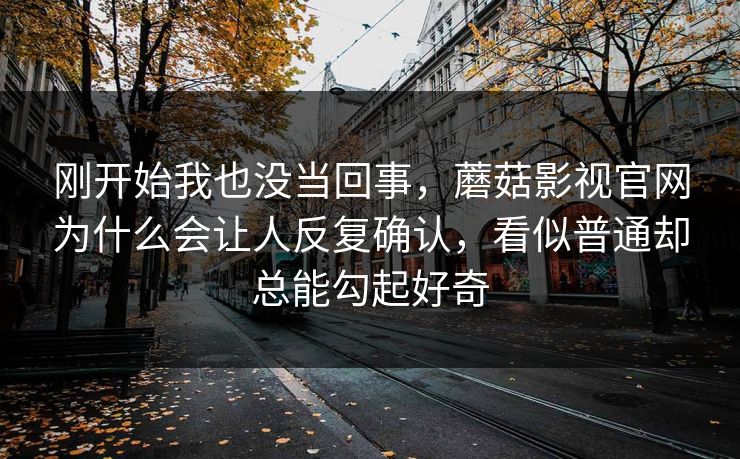 刚开始我也没当回事，蘑菇影视官网为什么会让人反复确认，看似普通却总能勾起好奇