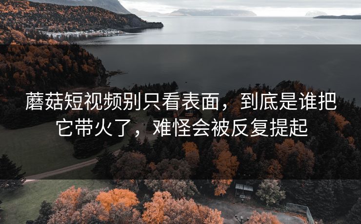 蘑菇短视频别只看表面，到底是谁把它带火了，难怪会被反复提起
