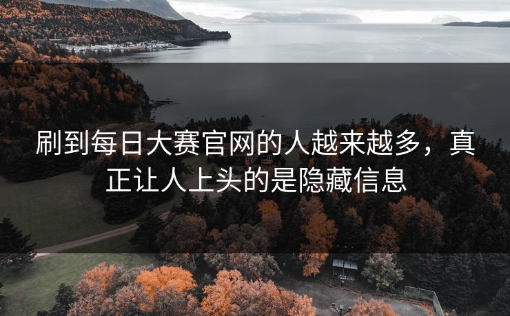 刷到每日大赛官网的人越来越多，真正让人上头的是隐藏信息