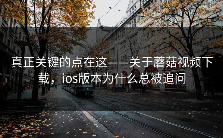 真正关键的点在这——关于蘑菇视频下载，ios版本为什么总被追问
