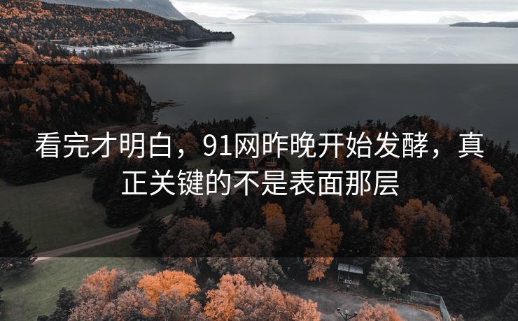 看完才明白，91网昨晚开始发酵，真正关键的不是表面那层